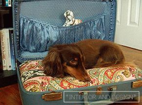 Kućica za pse из чемодана